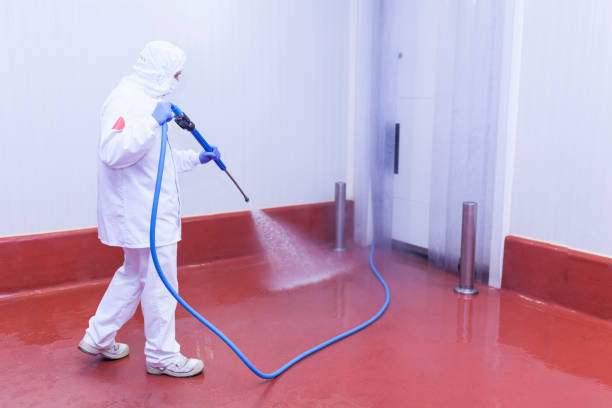 Best Driveway Pressure Washing  in Moorefield, WV