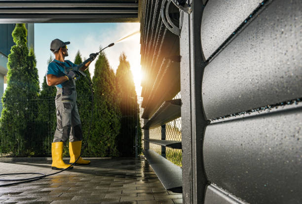 Best Roof Washing  in Moorefield, WV